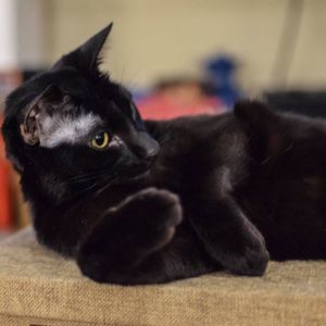 Meet your Posher, Erin